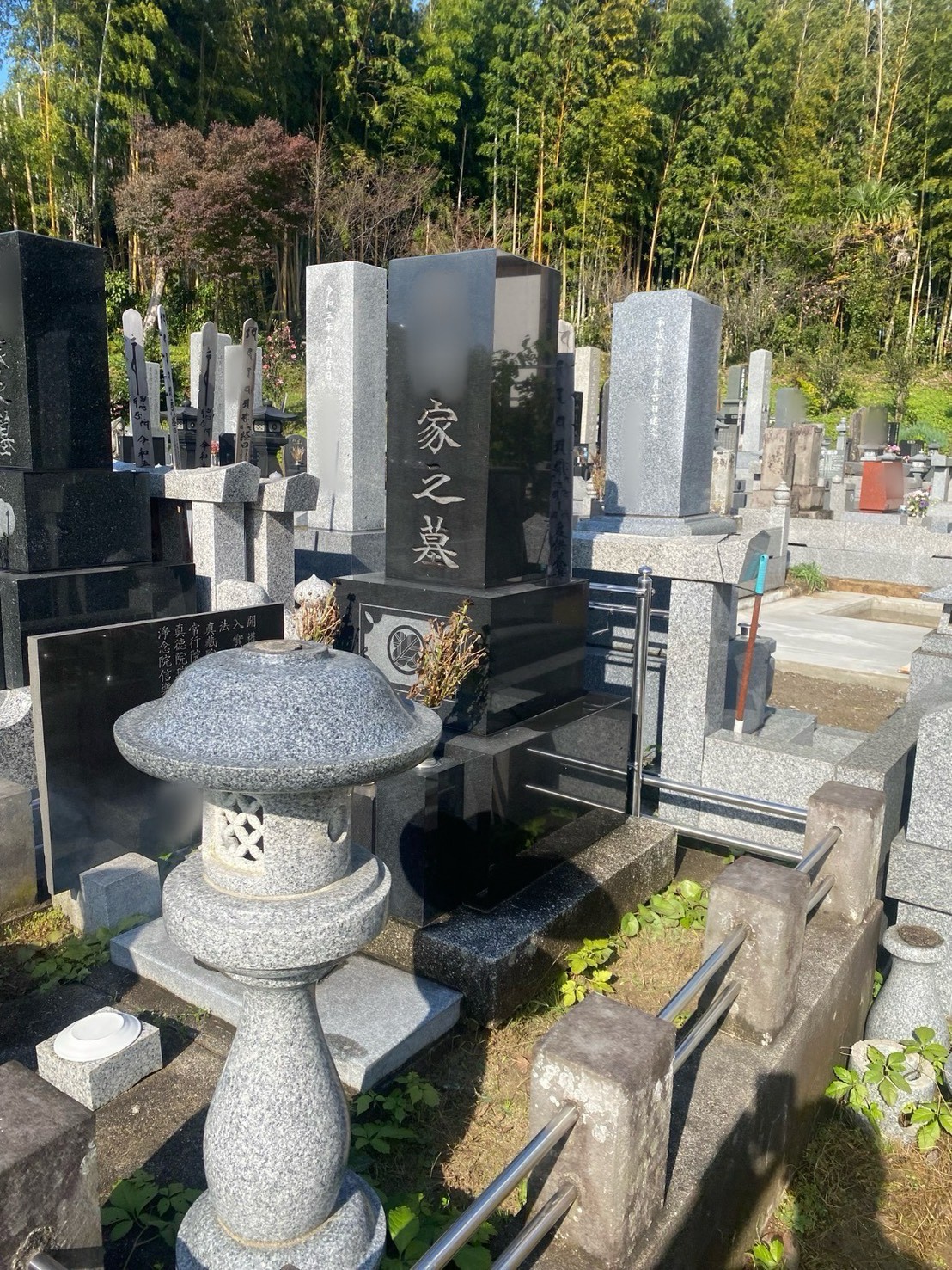 施工前。外柵は古く、まわりには雑草が伸びていました