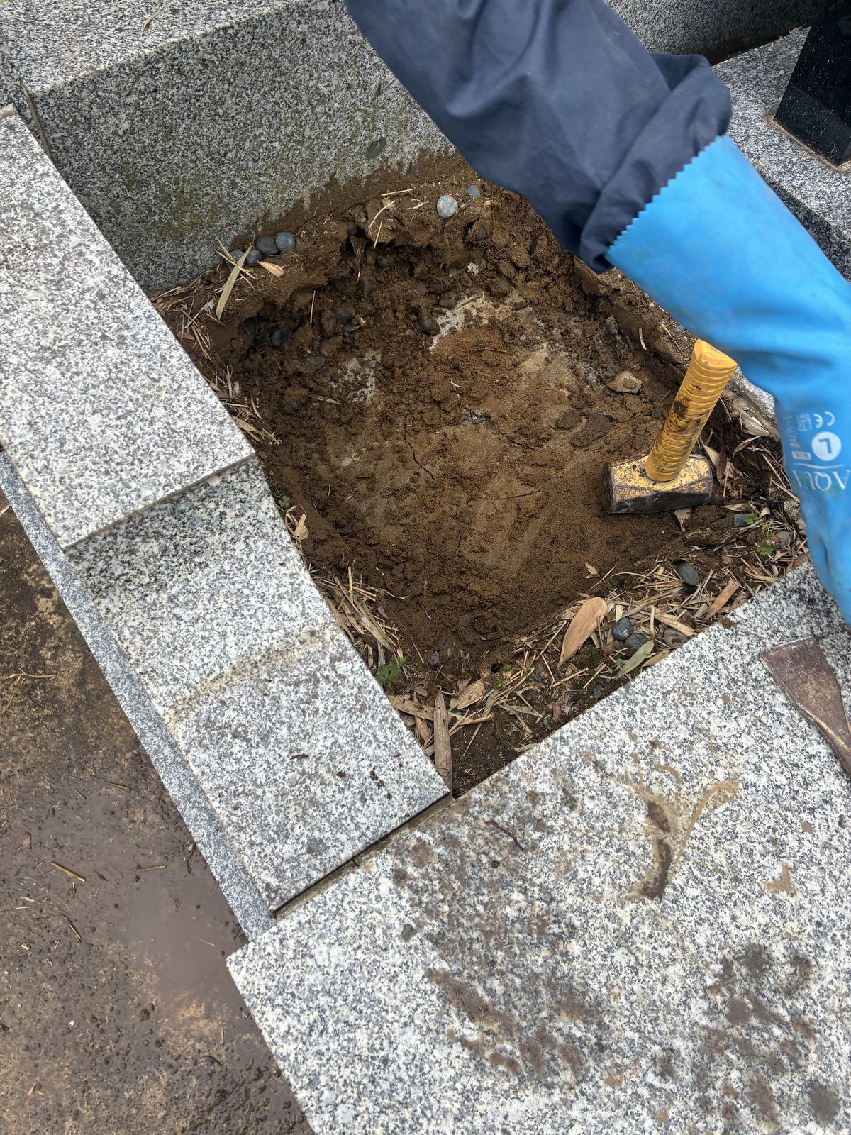 まわりを掘り取ります。沈む原因になっていた土を、ここで抜いてしまいます。