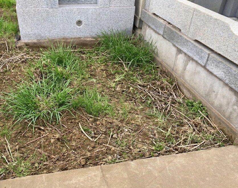 施工前。この一角に新しくお墓を建てさせていただきました。※AIによる再現イメージです。