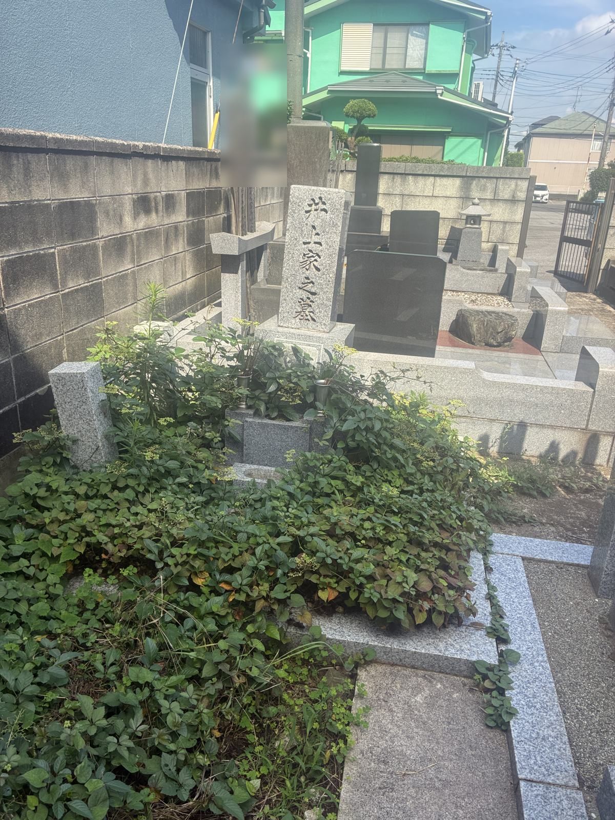 草に覆われた施工前の井上家墓所